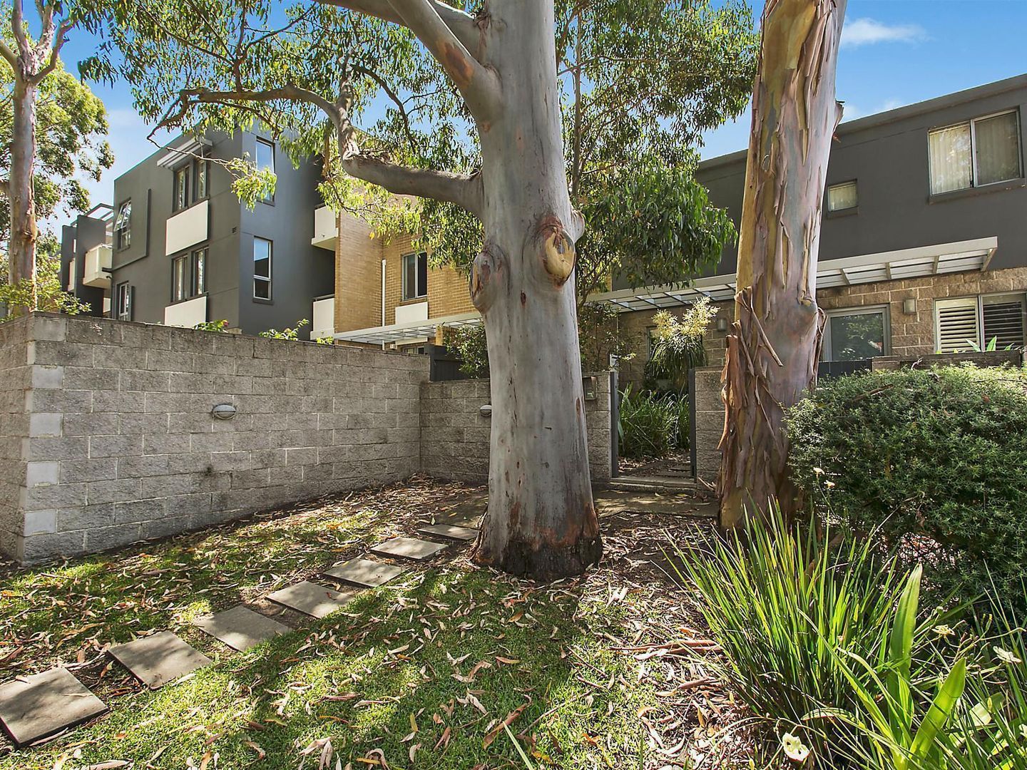 2/303 Miller Street, Cammeray NSW 2062, Image 1