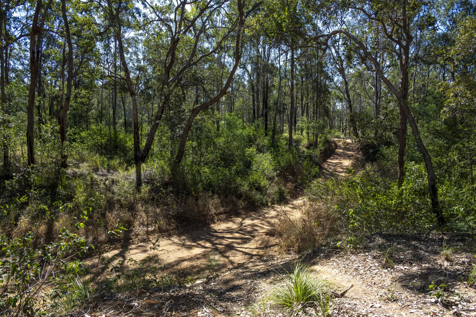 Image 15