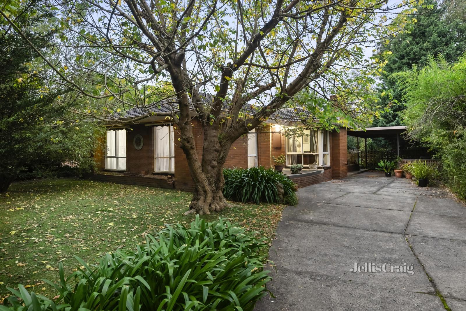 3 Grayling Crescent, Croydon VIC 3136, Image 1