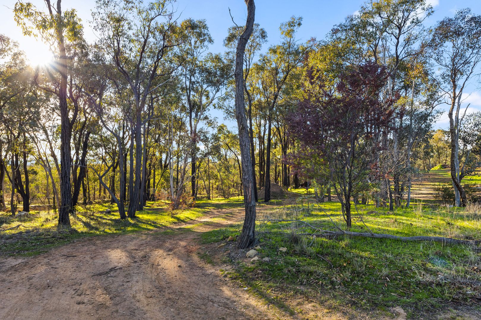 5 Sugar Glider Way, Strathdale VIC 3550, Image 1