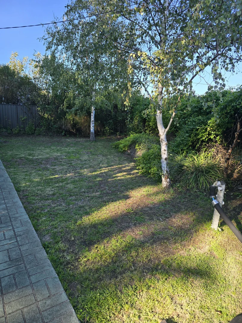 Image 13