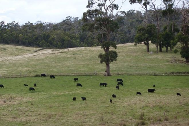 Picture of Boundary Farm Pipers Brook Road, PIPERS BROOK TAS 7254