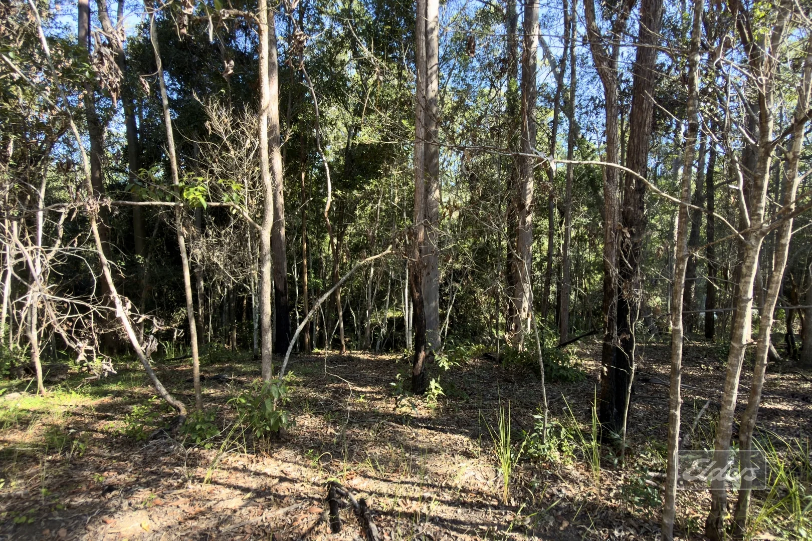 Image 9