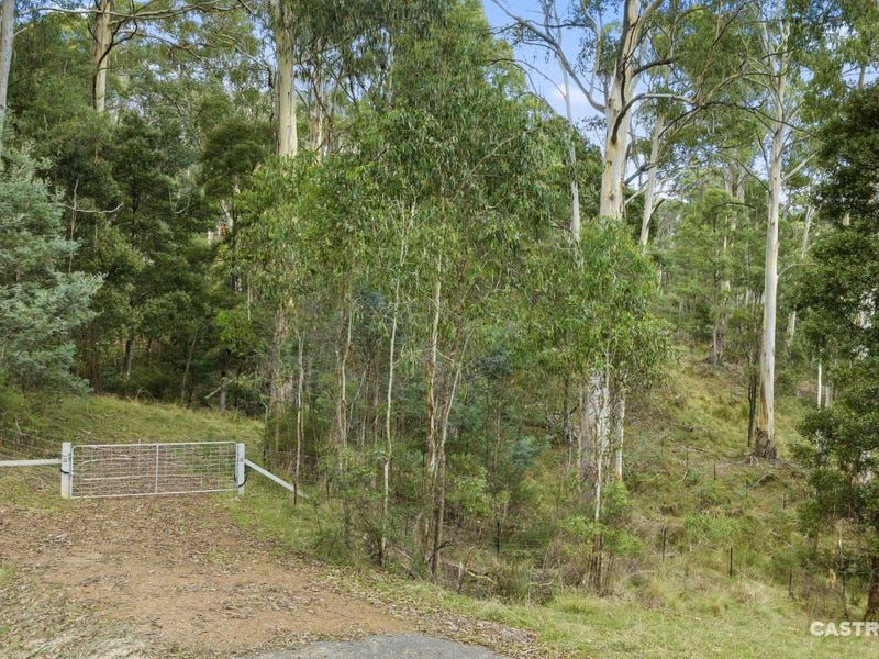 63, 64 & 66 Overflow Road, Sawmill Settlement VIC 3723, Image 2