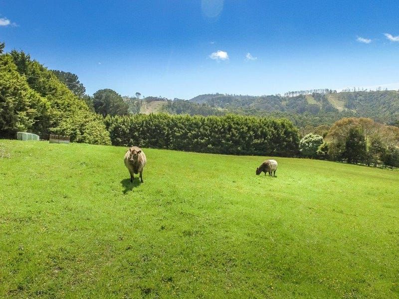 398 Mount Best Tin Mine Road, Toora North VIC 3962, Image 2