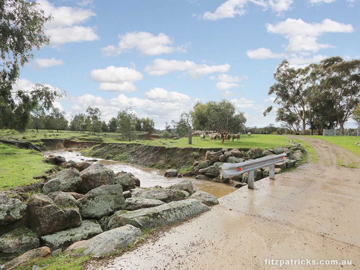 Lot 2 Holbrook Road, Maxwell NSW 2650, Image 2