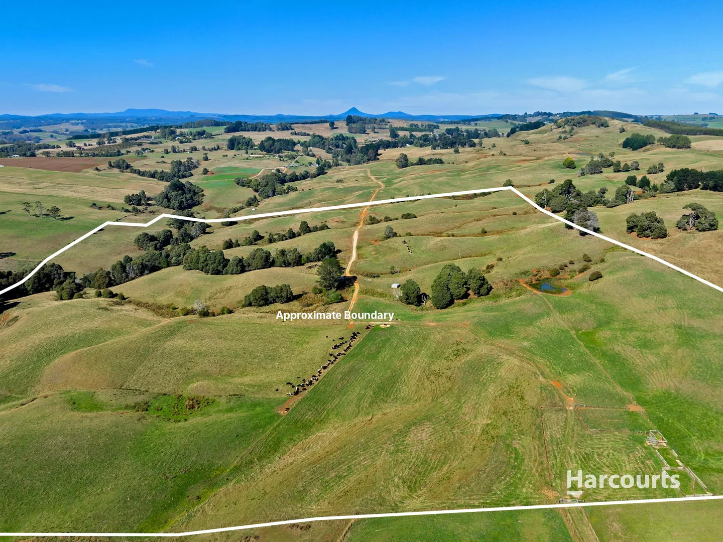 Additional image 14 of 00 Dudfields Road, Mount Hicks TAS 7325