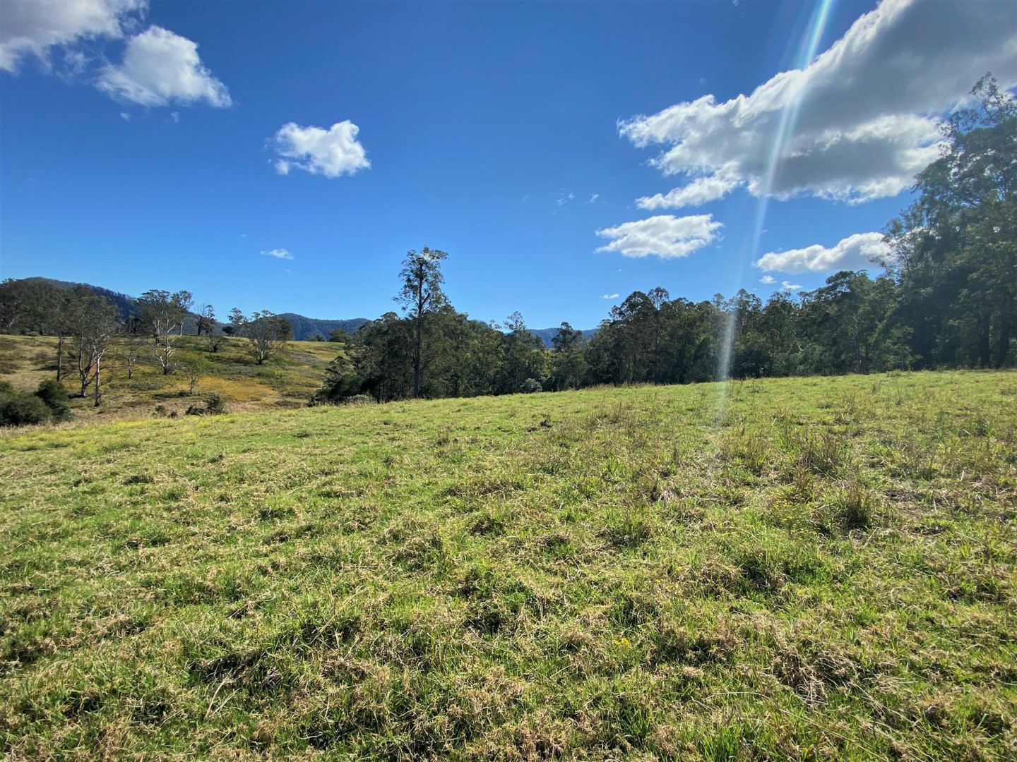 Lot 8 Alfred Road, Killabakh NSW 2429, Image 2