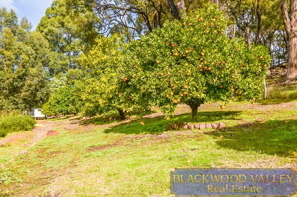 Image 21
