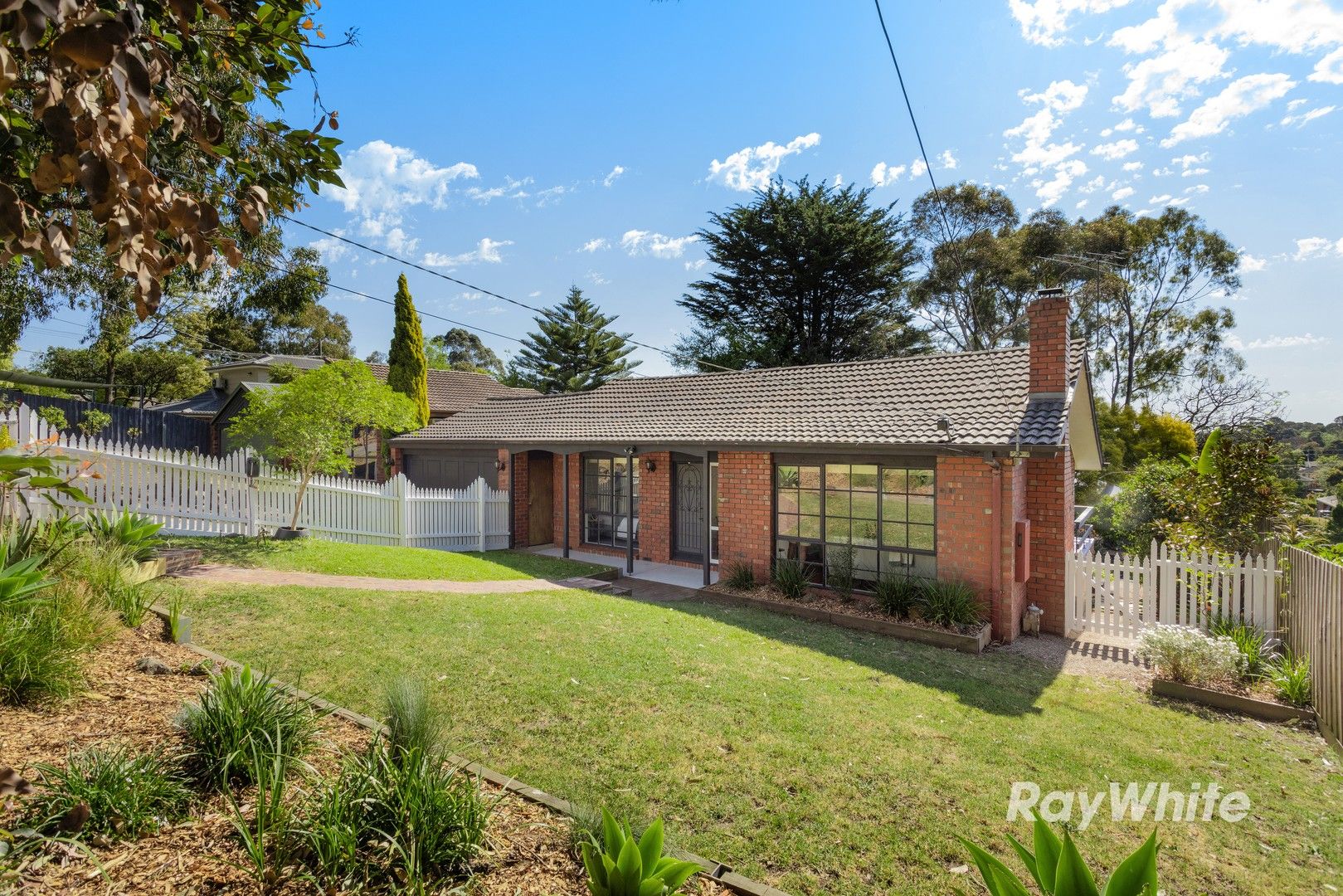 17 Christopher Avenue, The Basin VIC 3154, Image 0