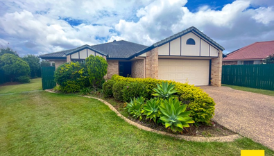 Picture of 12 Palais Court, AVENELL HEIGHTS QLD 4670