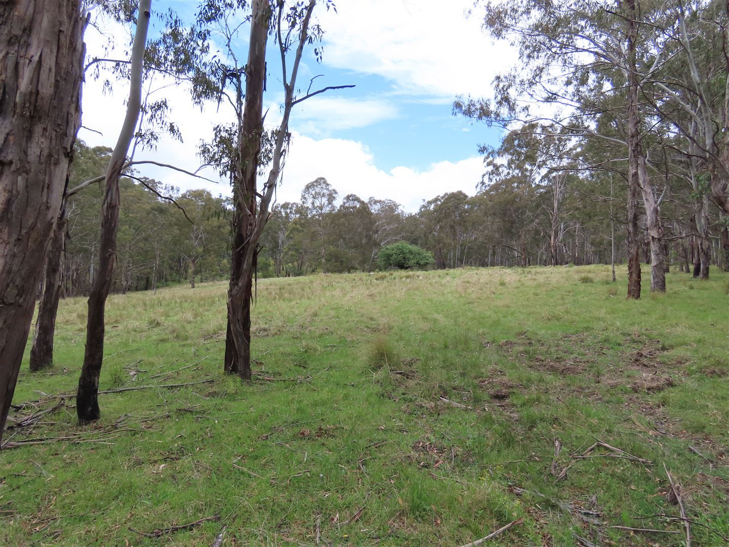'Lands End/1600 Lands End Road, Red Range NSW 2370, Image 0