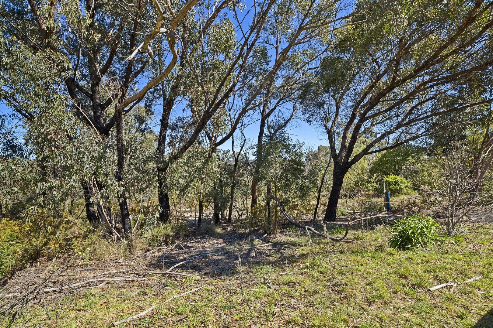 18 St Georges Parade, Mount Victoria NSW 2786, Image 0