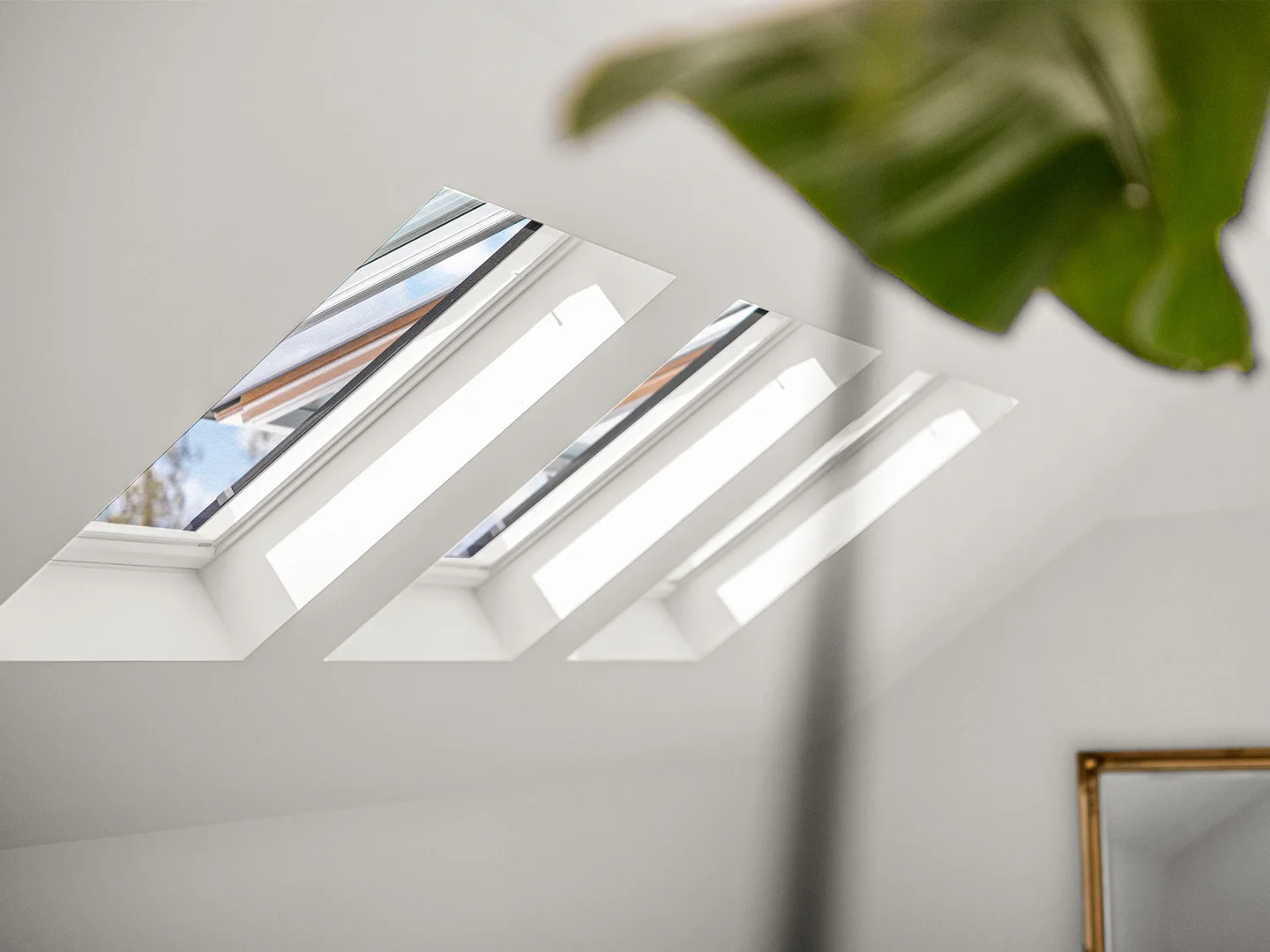 Additional image 22 of 66 Mount Napier Road, Hamilton VIC 3300