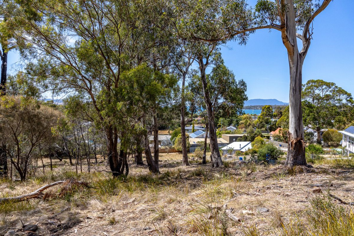 20 Charles Street, Orford TAS 7190, Image 2