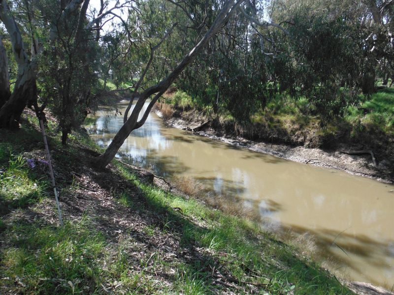 "Coolronan" North Forbes Road, Condobolin NSW 2877, Image 1