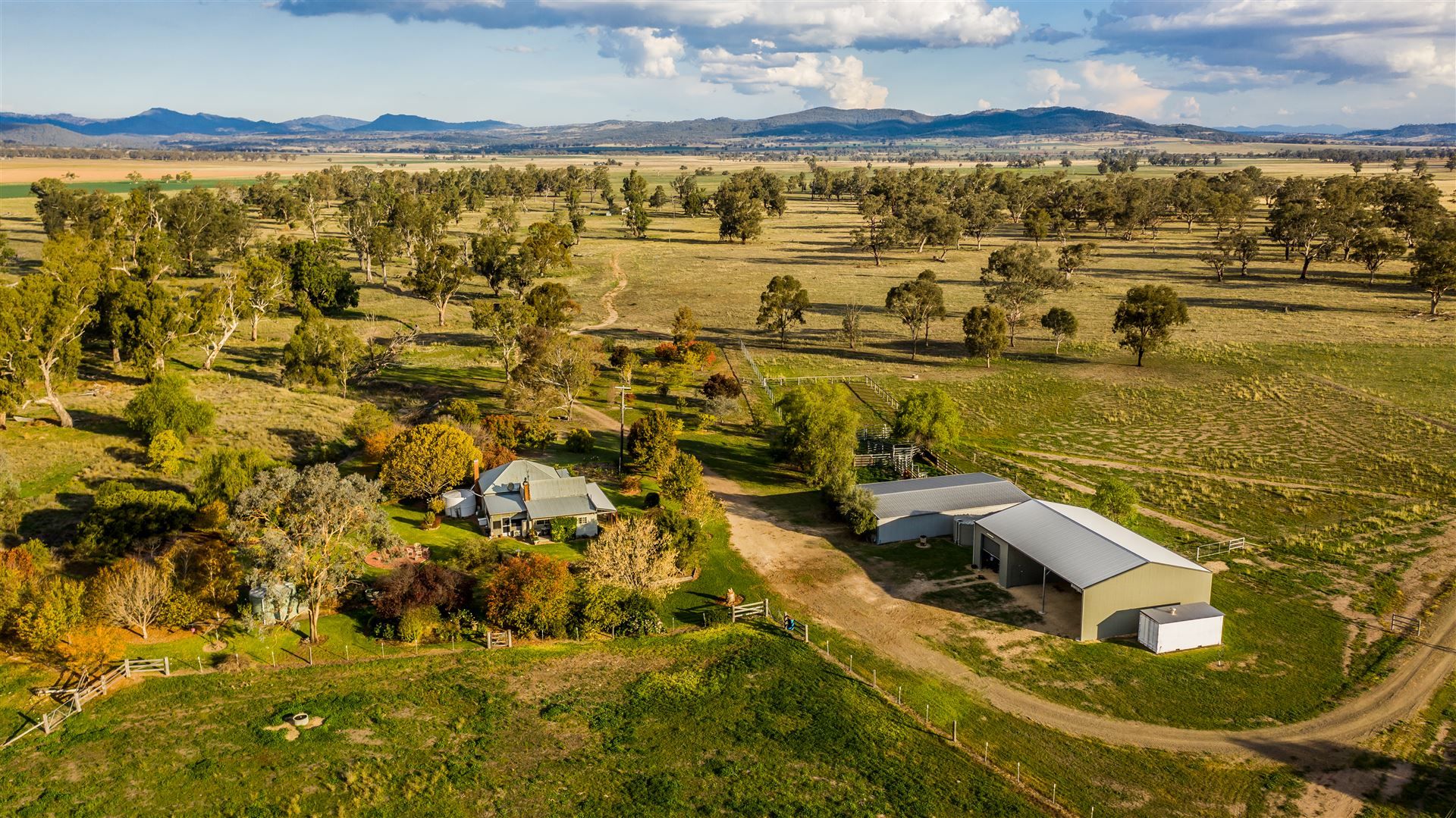 Quirindi NSW 2343 Farm for Sale 1,375,000 Domain