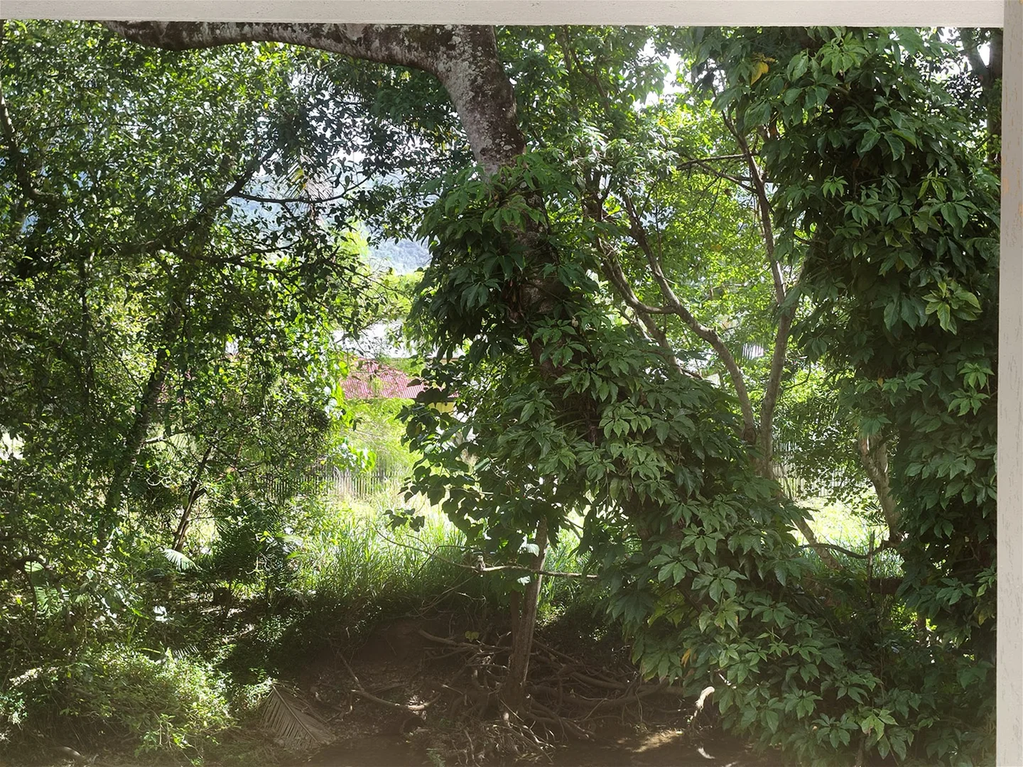 Image 13