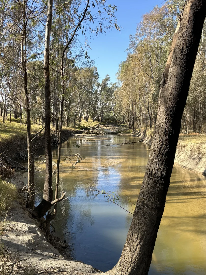 Image 22