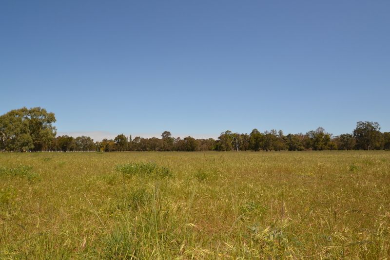 Lot 104 Karnup Creek Road, Hopeland WA 6125, Image 1