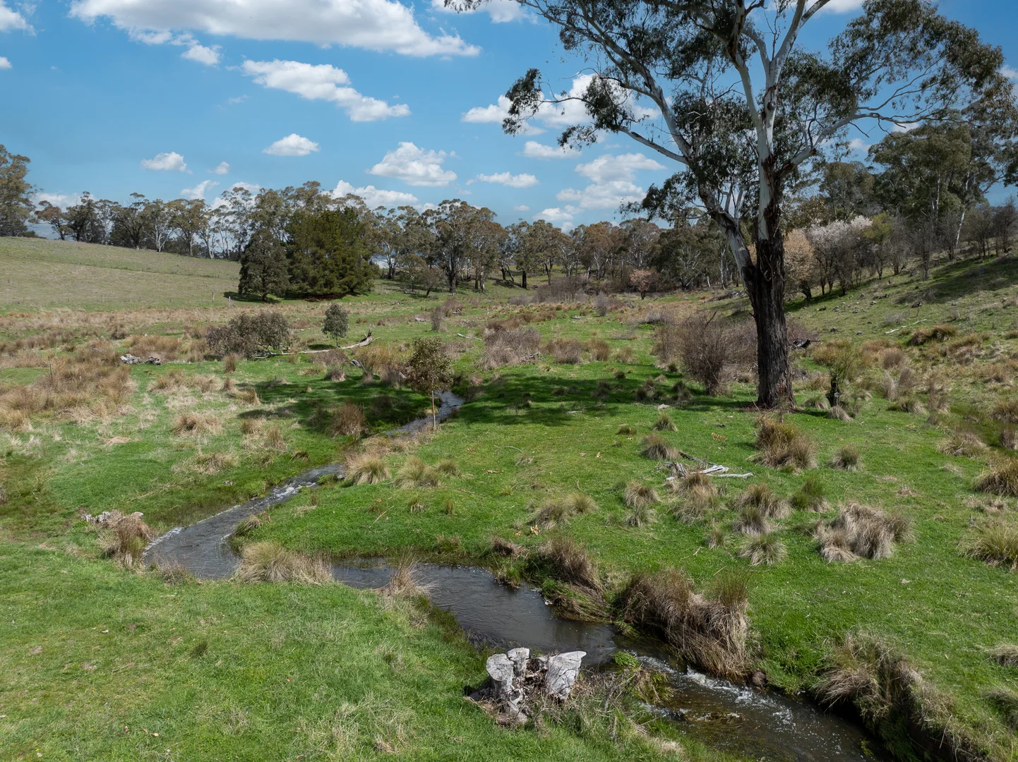 Additional image 8 of 584 Huntley Road, Huntley NSW 2800
