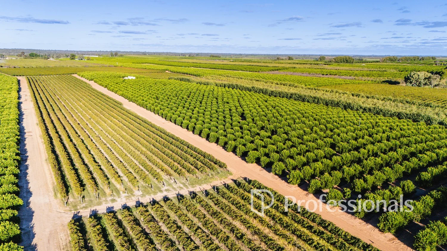 Additional image 5 of 2050 Kulkyne Way, Iraak VIC 3494