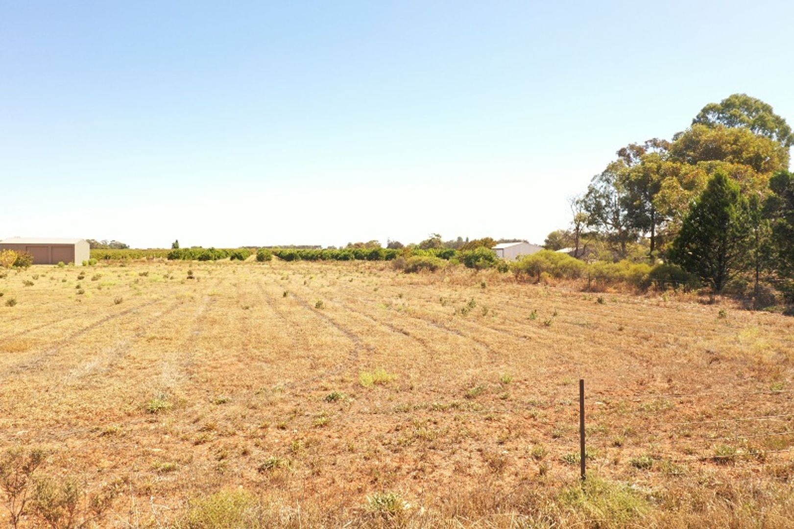 Lot 122 Pope Rd, Waikerie SA 5330, Image 2