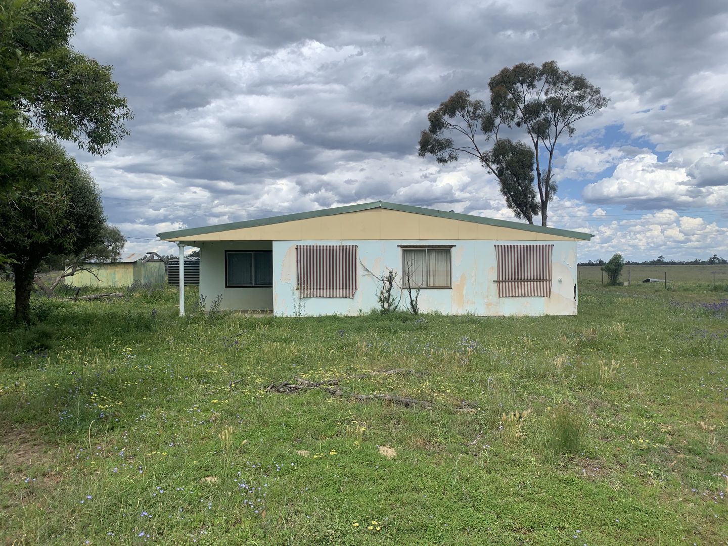 193 Breelong-Balladoran Road, Breelong NSW 2827, Image 2