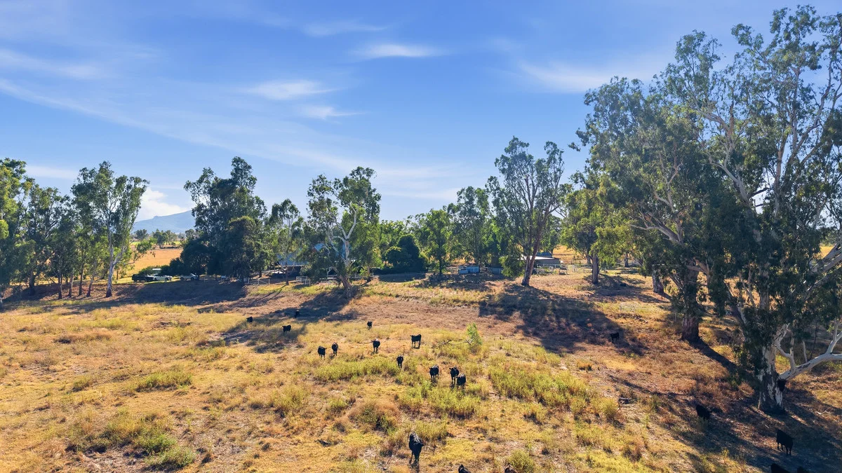 Additional image 9 of 306 Orange Grove Road, Gunnedah NSW 2380