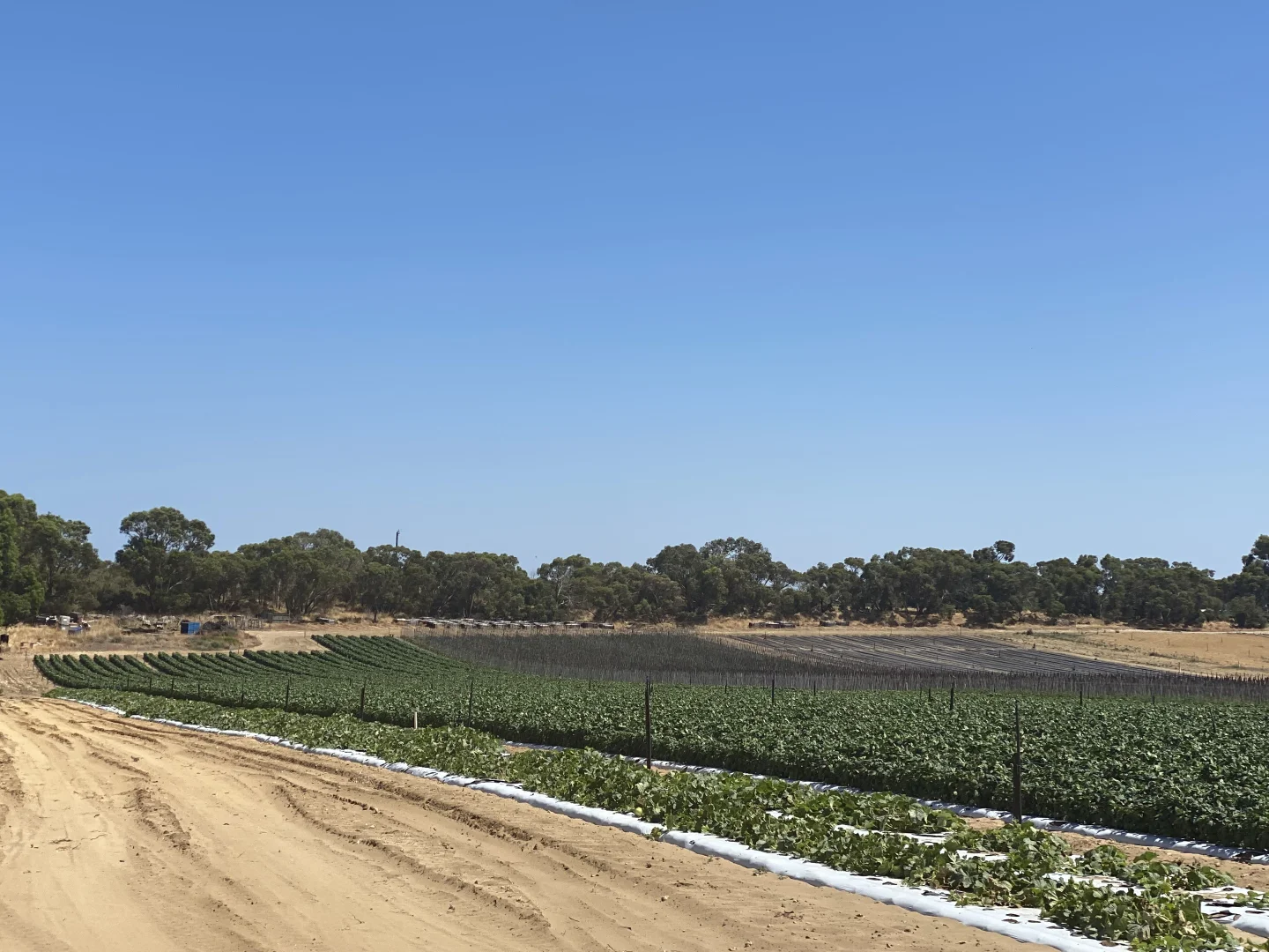 Additional image 24 of 440 Old Yanchep Road, Carabooda WA 6033