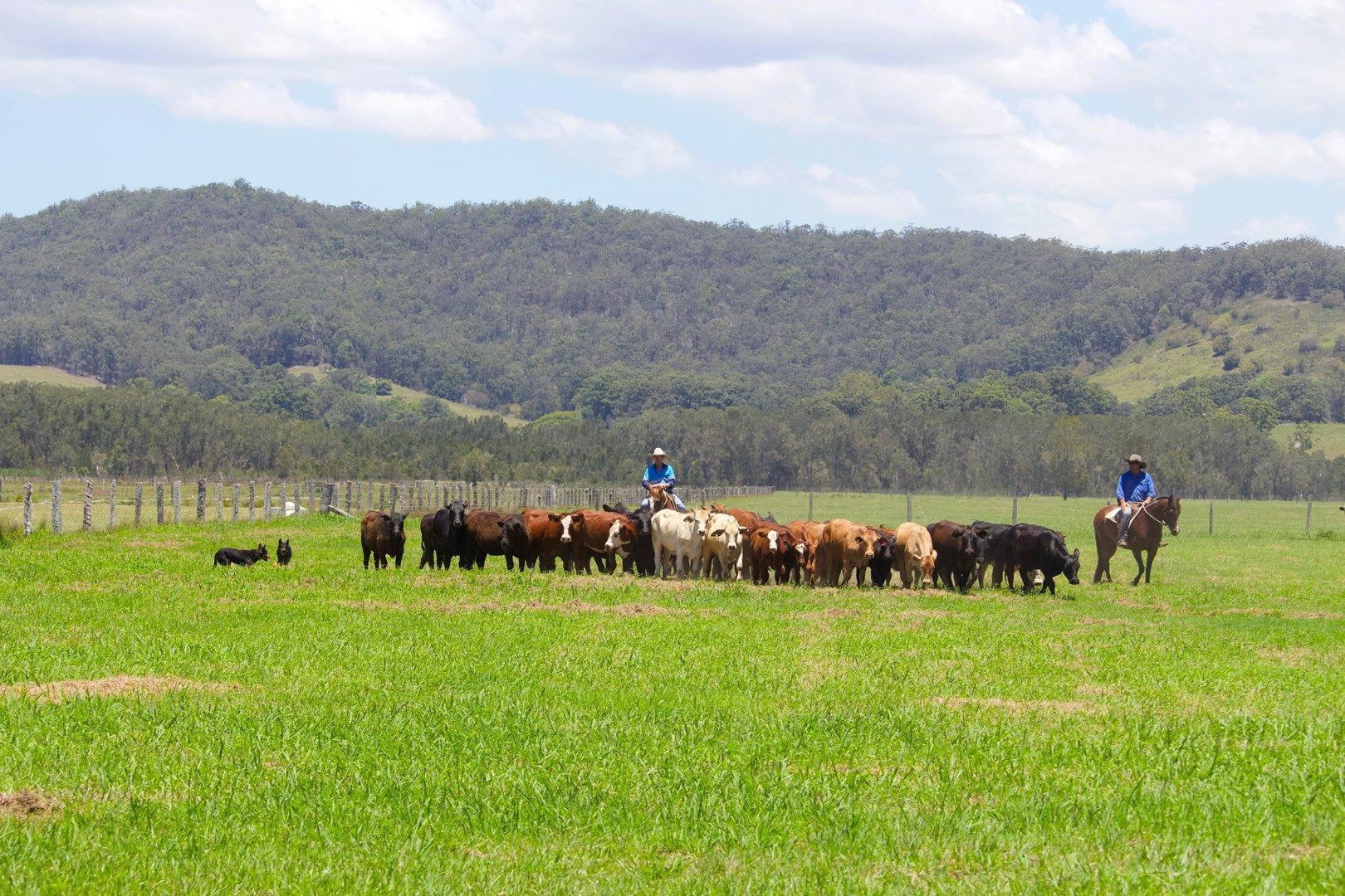 Macksville NSW 2447, Image 1