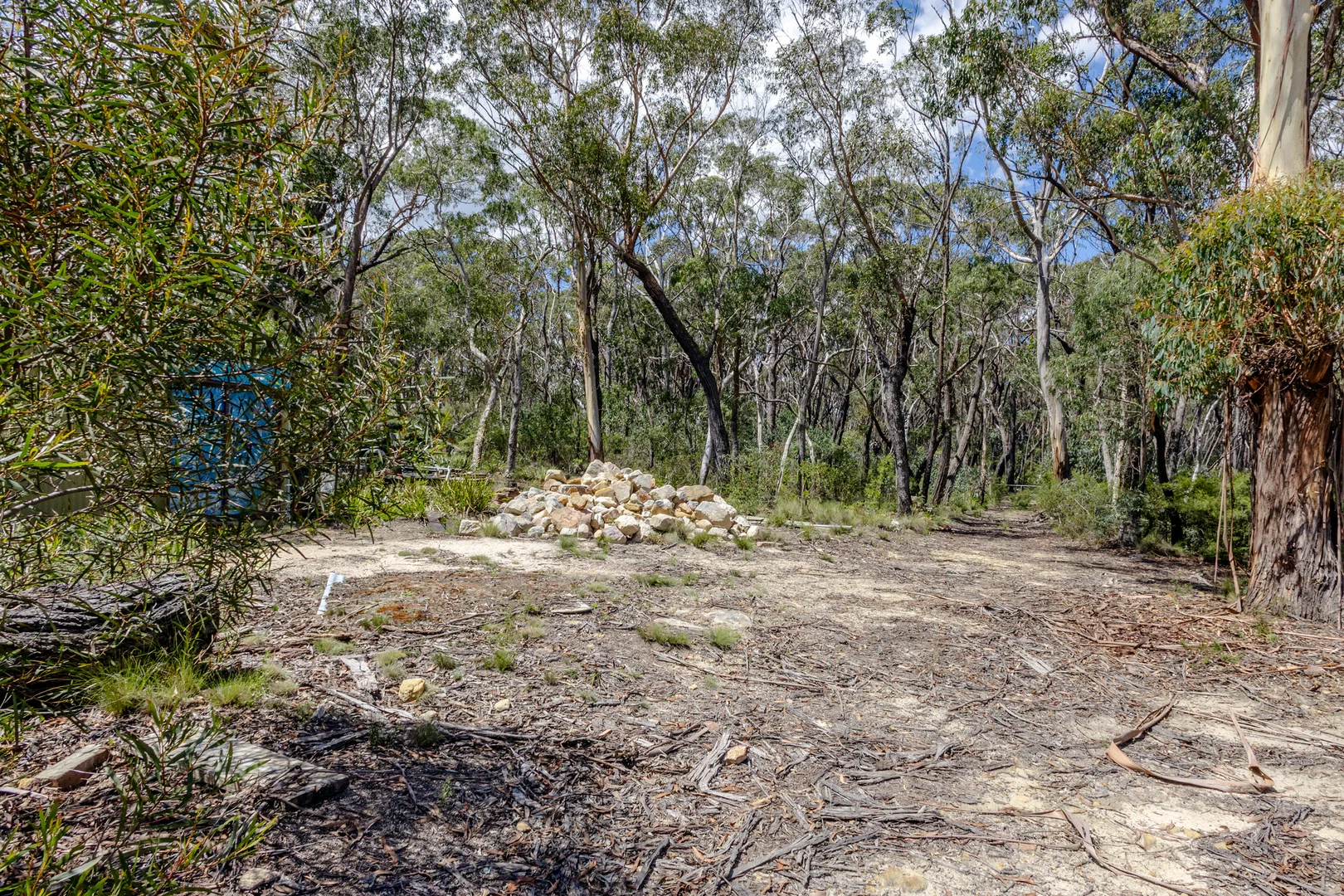 Image 6
