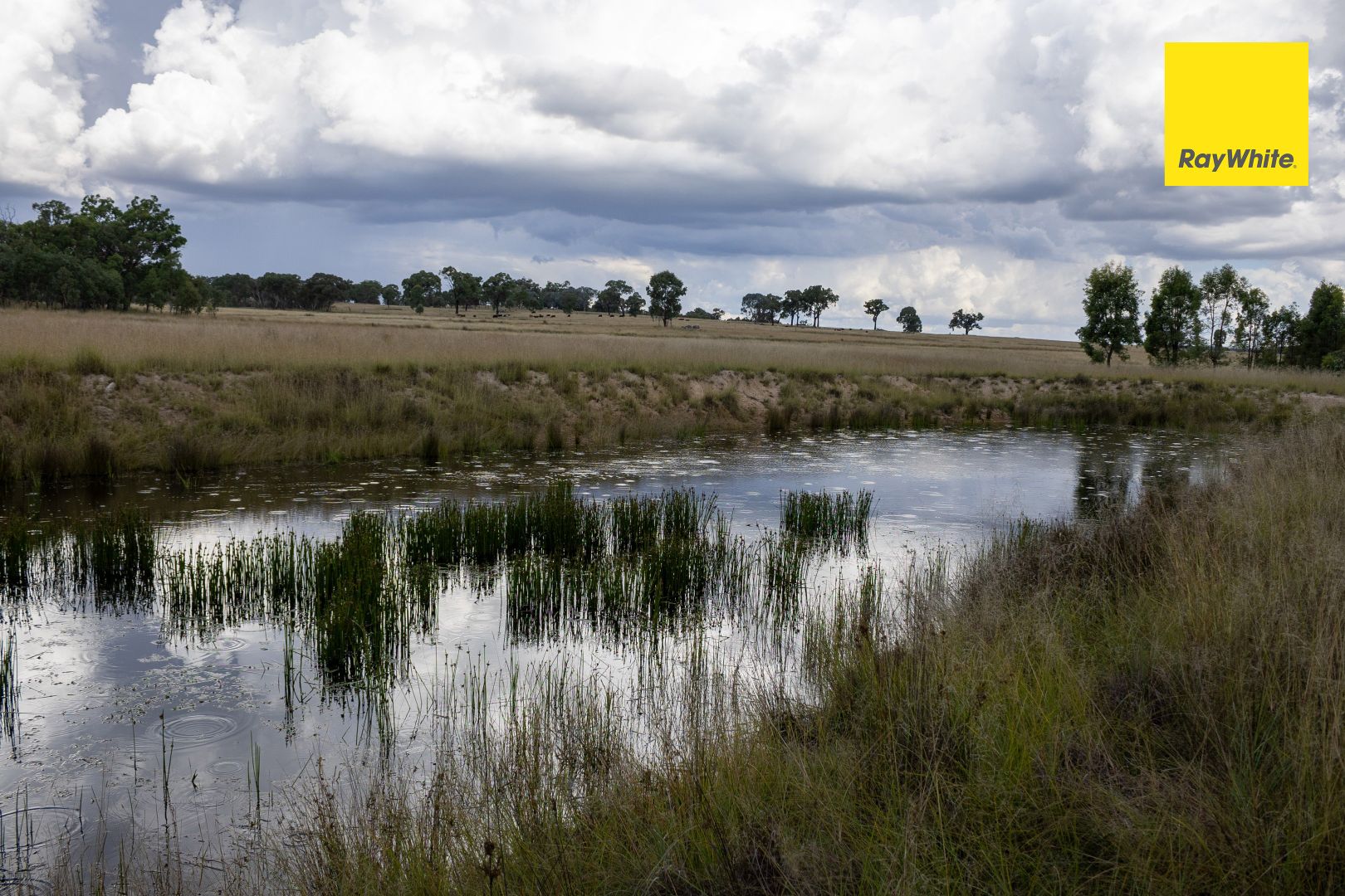 Inverell NSW 2360, Image 1