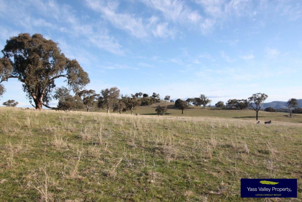 Reynolds Lane, Binalong NSW 2584, Image 0