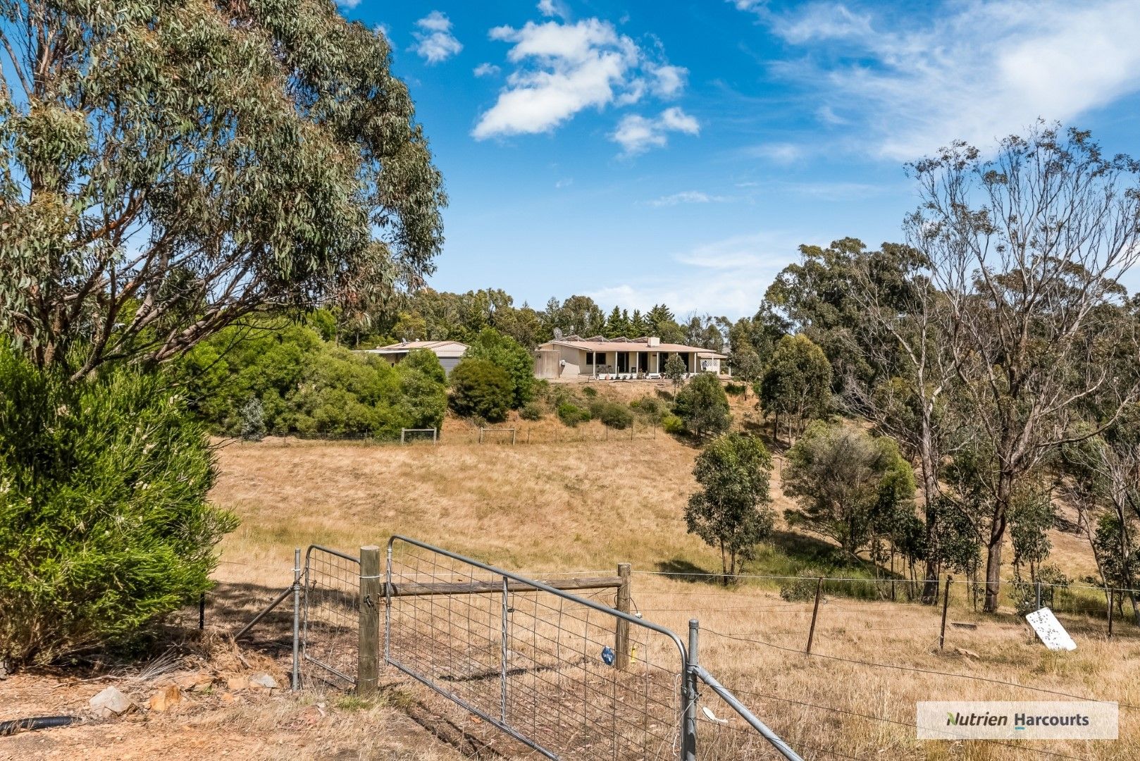 300 Back Creek Road, High Camp VIC 3764, Image 0