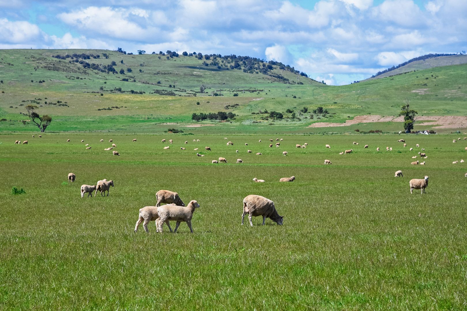 "Little Plains" Little Plains Road, Woodbury TAS 7120, Image 2