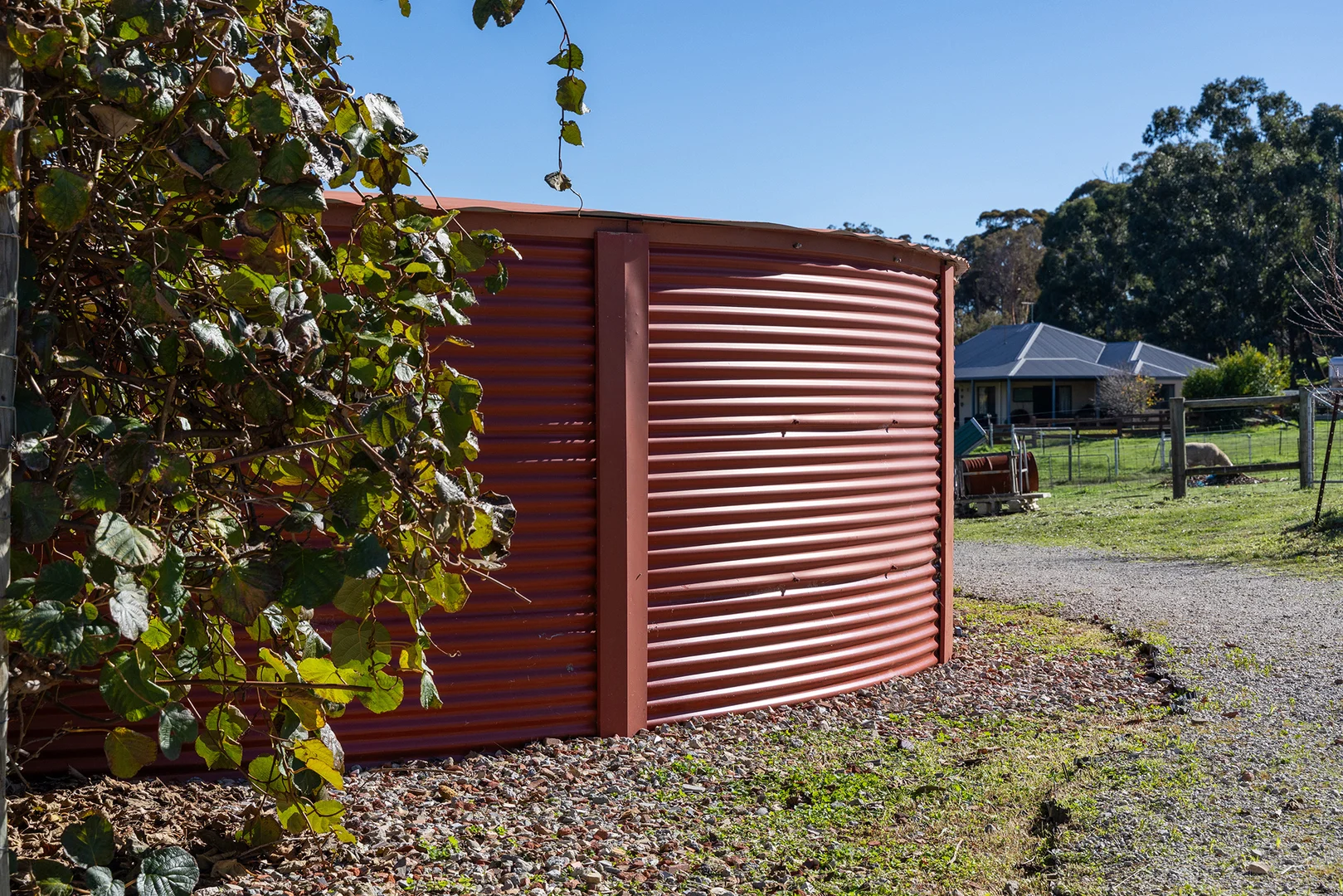 Image 11