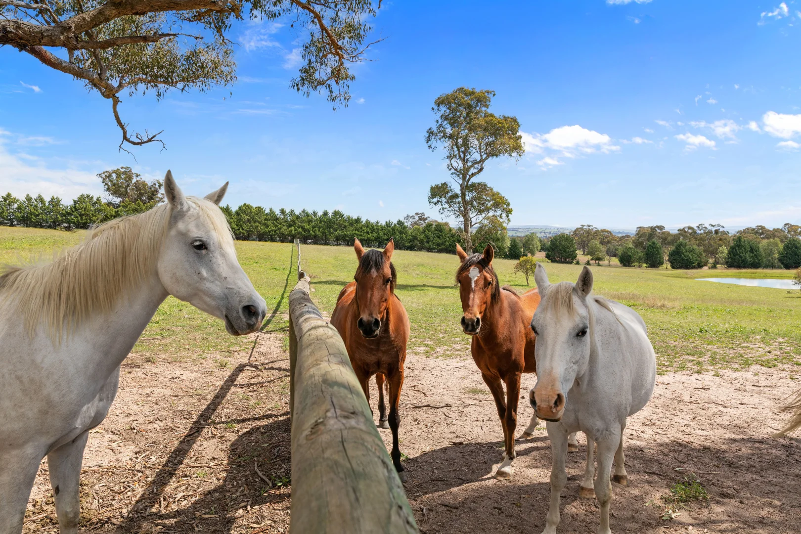 Additional image 17 of 1305 Carlwood Road, O'Connell NSW 2795