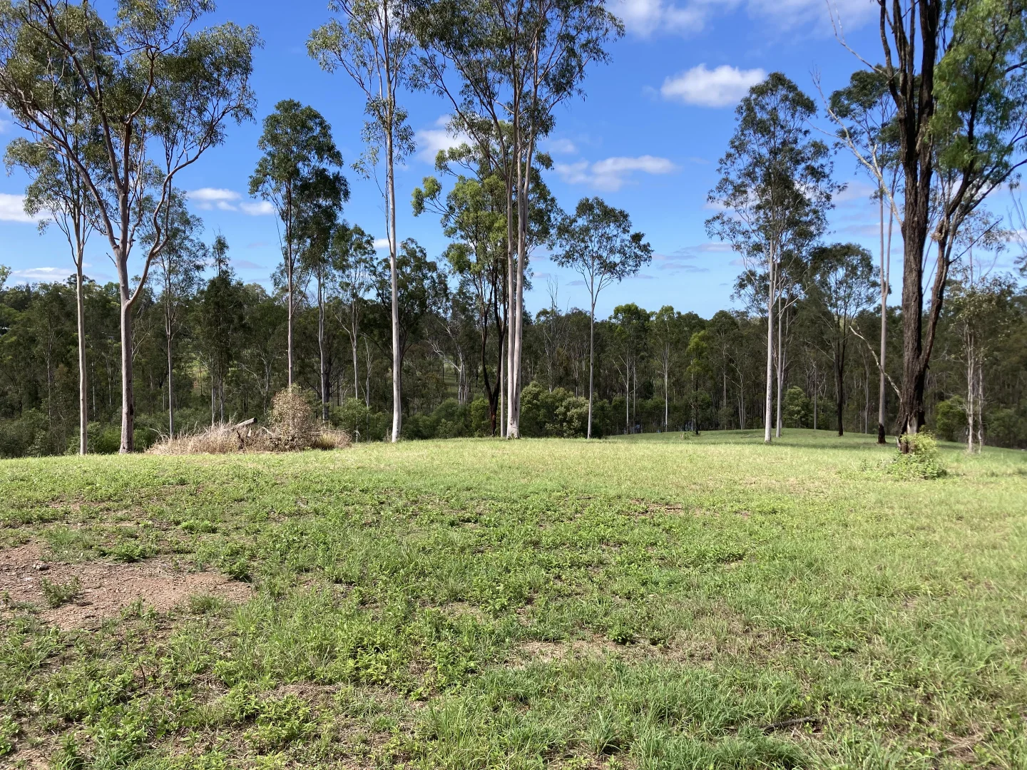 Image 33