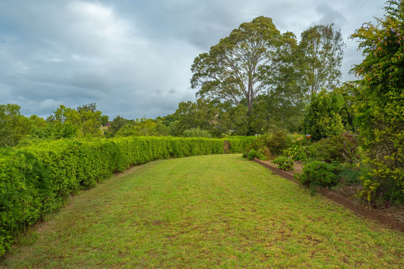 Image 23