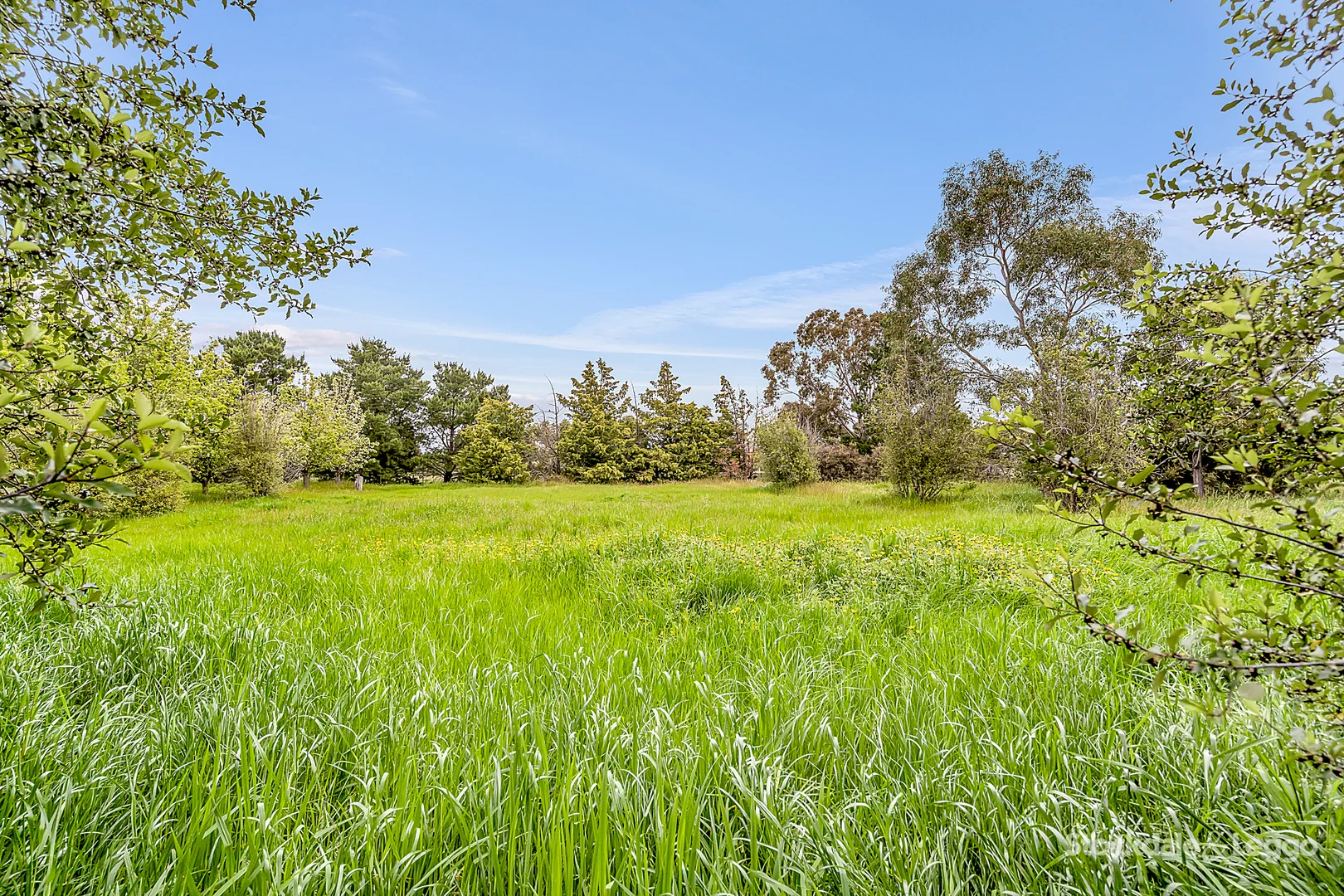 Additional image 32 of 160 Green Street, Bulla VIC 3428