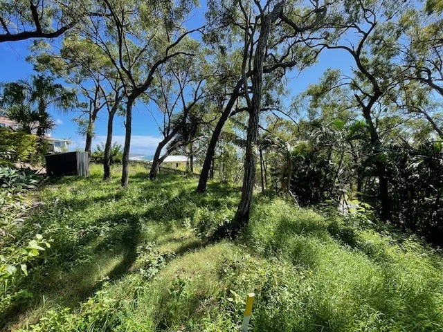 Image 10