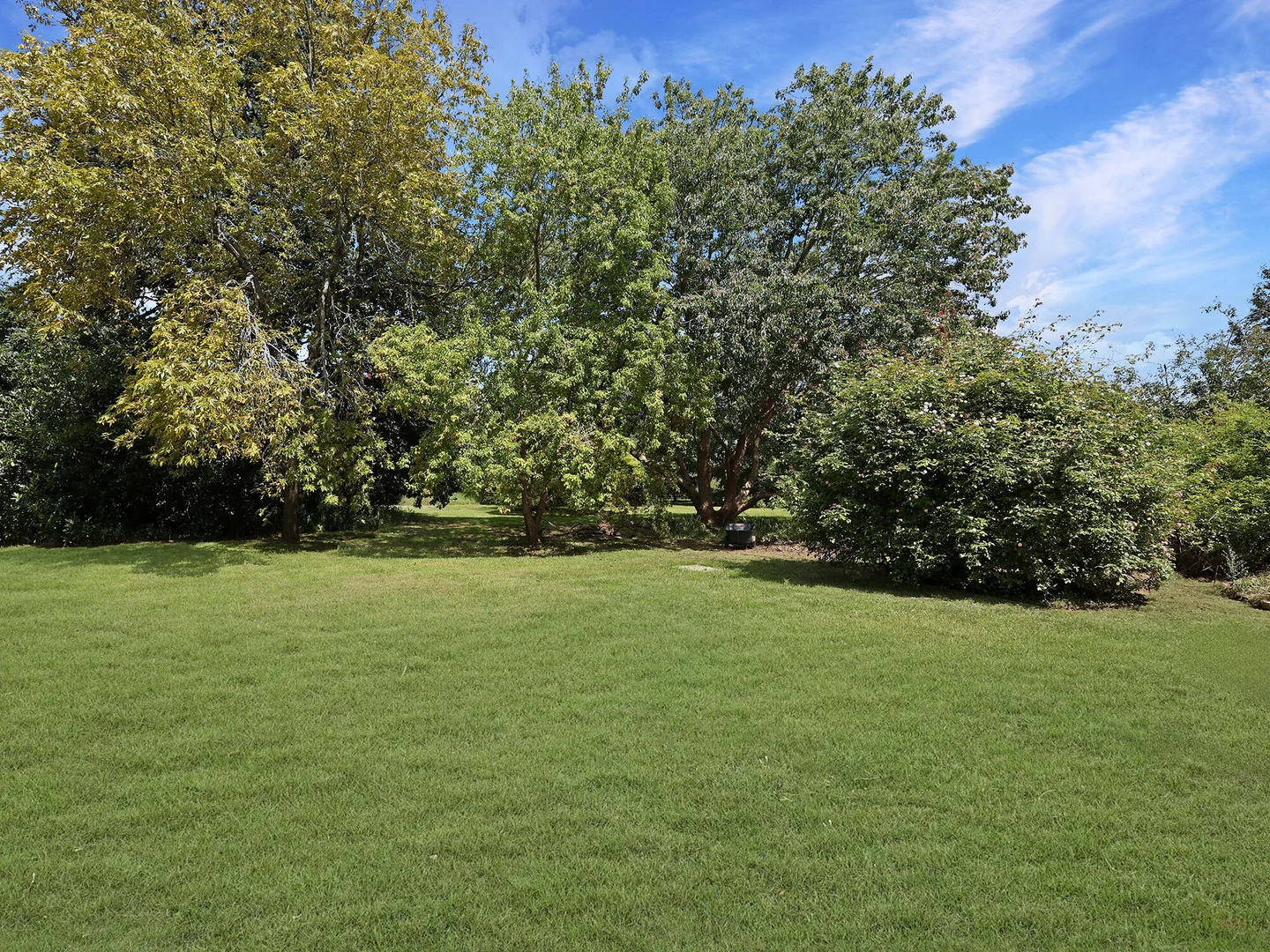 Image 21