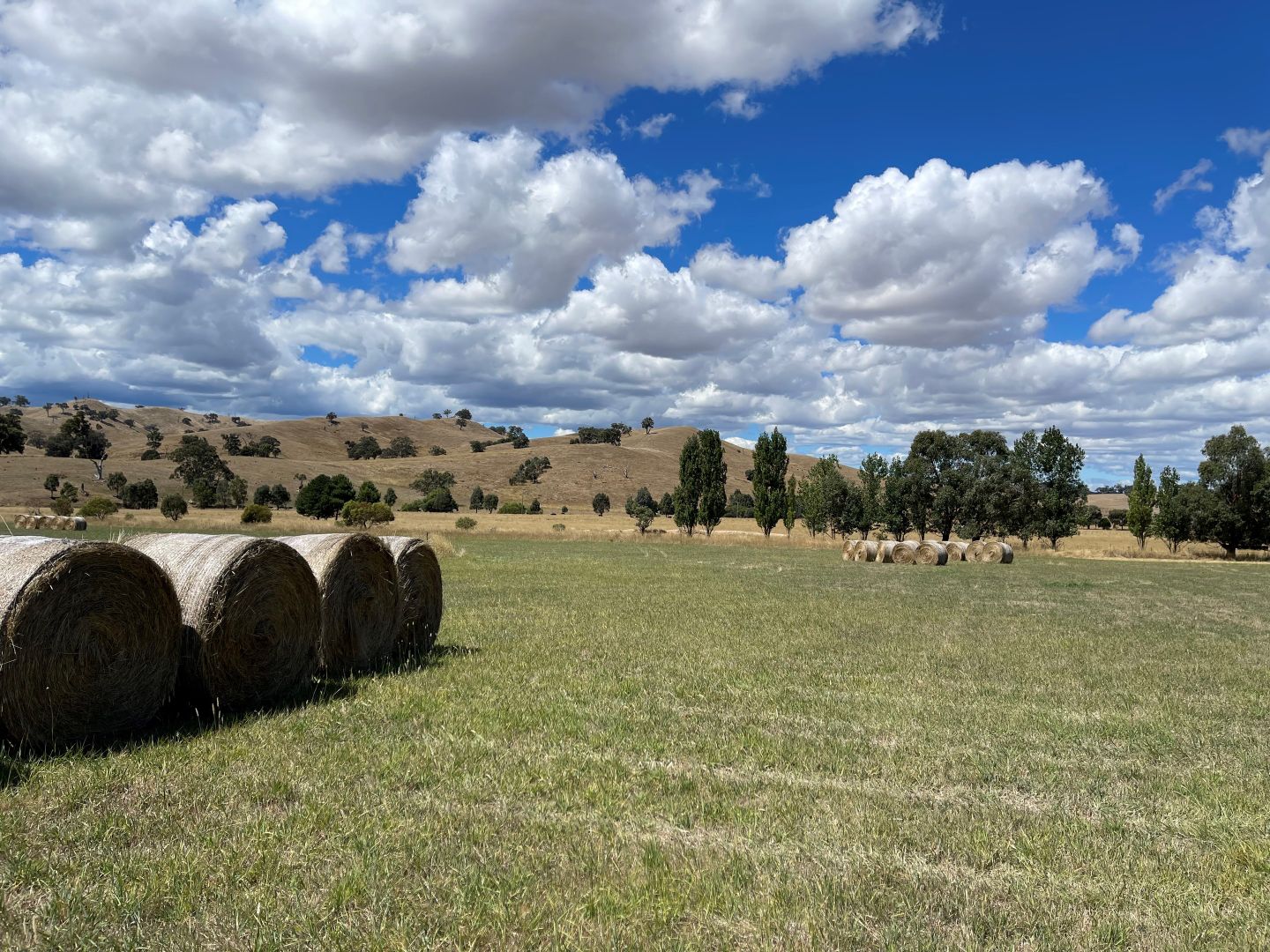 40 Lockharts Road, Bonnie Doon VIC 3720, Image 2