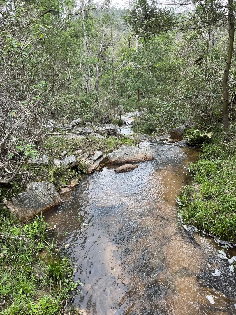 Additional image 5 of 7266 Mount Lindesay Road, Liston NSW 2372