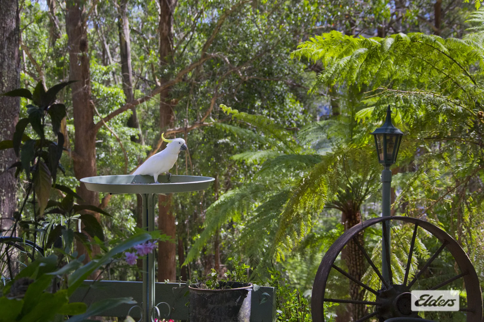 Image 14
