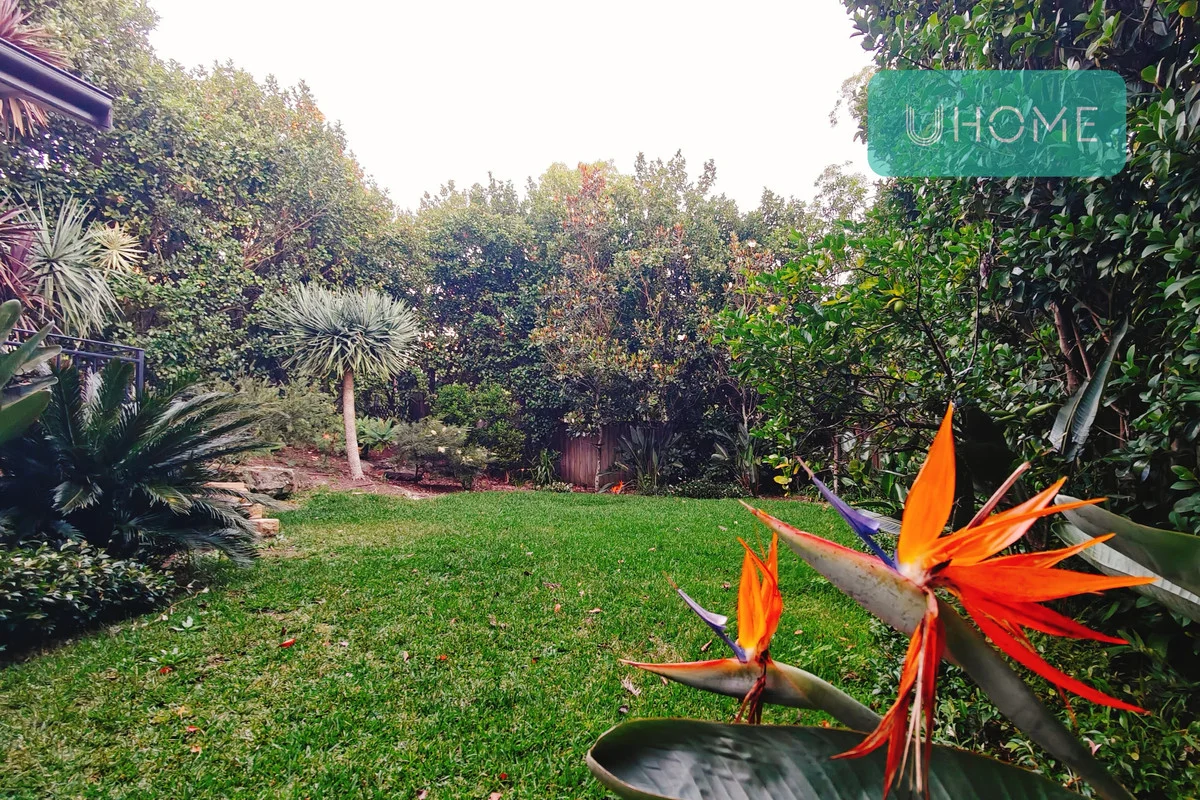 Additional image 15 of 64A Dumaresq Street, Gordon NSW 2072