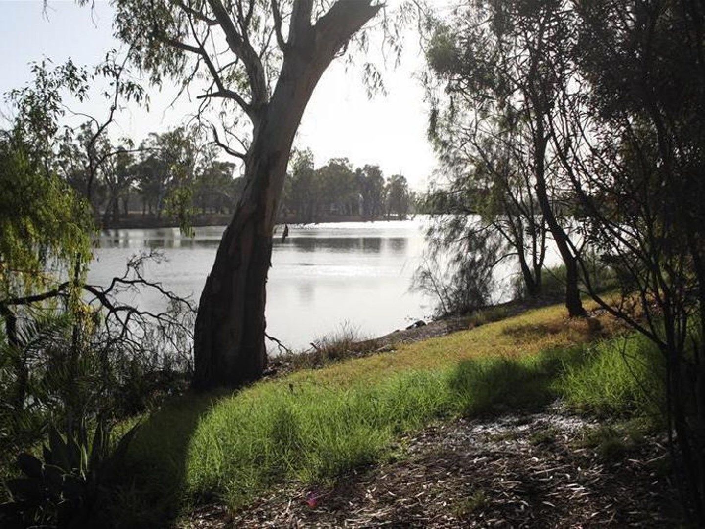 Cowra Station Old Mail Road, Wargan VIC 3505, Image 0