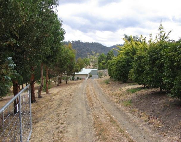 135 Saddle Road, Magra TAS 7140