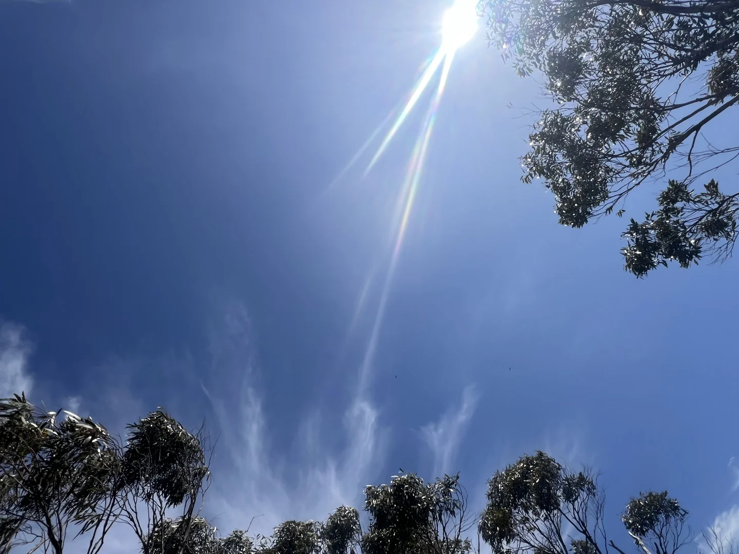 Image 13